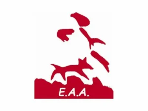 logo-agilityalmussafes